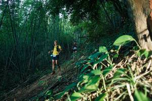 BIB: 
                            <button type="button" onclick="openModal(28124149)" class="btn btn-primary btn-sm float-right btn-popup" data-toggle="modal" data-target=".modal-high-quality">
                        <i class="fas fa-shopping-cart"></i> Add to Cart
                    </button>
                                            <button type="button" onclick="isThisMe(28124149, true)" class="btn btn-success btn-sm float-right btn-popup btn-isme hidden" data-toggle="tooltip" data-placement="bottom" title="นี่คือรูปของคุณใช่ไหม คลิกที่นี่เพื่อเอาเข้าอัลบั้ม">
                        <i class="fas fa-plus"></i> Add to album
                    </button>
                    <button type="button" onclick="isThisMe(28124149, false)" class="btn btn-warning btn-sm float-right btn-popup btn-isnotme hidden">
                        <i class="fas fa-ban"></i> Remove from album
                    </button>